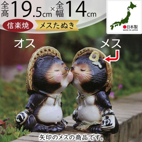 信楽焼　女狸　置物　オブジェ　時代物 信楽焼 女狸 置物 オブジェ 時代物