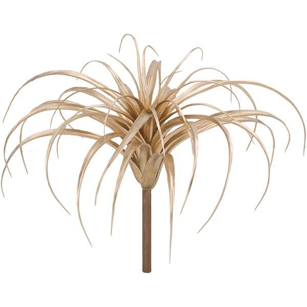   lHϗtA eBhVA 27cm 2{Zbg