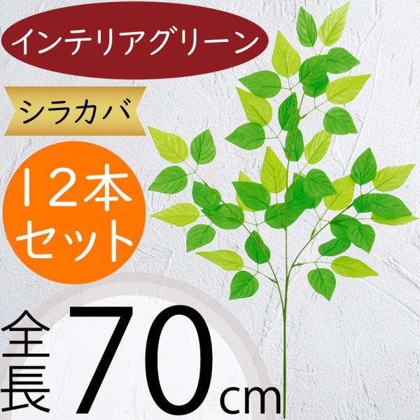 シラカバ 全長70cm 7本セット 白樺 シラカンバ 造花 フェイクグリーン インテリアグリーン 人工観葉植物 Bg Les 5160 S Fg 人工観葉植物と造花の通販ケイシン 通販 Yahoo ショッピング
