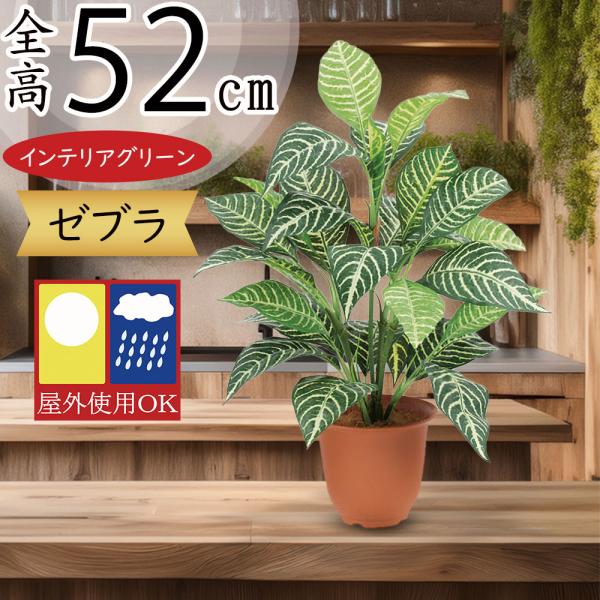 屋外対応 ゼブラ 全高52cm 人工観葉植物 人工樹木 造花 インテリアグリーン フェイクグリーン 庭 バルコニー ファサード ベランダ テラス Bst Leb 81 人工観葉植物と造花の通販ケイシン 通販 Yahoo ショッピング