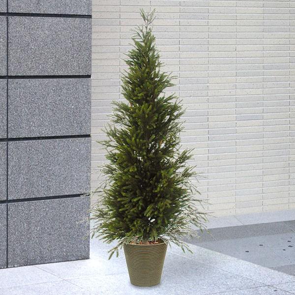 モミの木 デッラックス 簡易鉢 全高2 4m 大型 人工観葉植物 配送制限あり もみの木 人工樹木 造花 インテリアグリーン フェイクグリーン Buyee Buyee 日本の通販商品 オークションの代理入札 代理購入