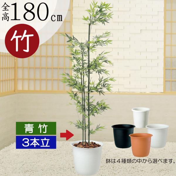 keishin_bst-take-3g-180