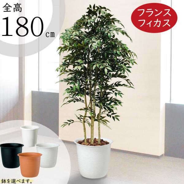 光触媒　人工観葉植物　ウォールグリーン　フェイクグリーン　ベンジャミン180 インテリアグリーン 大型 おしゃれ ベンジャミン 人気 リアル