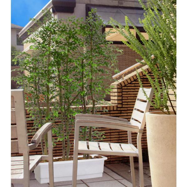 屋外対応 全高1 5m ミニフィカス ベンジャミン パーテーション 配送制限あり フェイクグリーン 造花 ワイド 間仕切り 樹木 屋外用 Bst0004b P150 Buyee 日本代购平台 产品购物网站大全 Buyee一站式代购 Bot Online