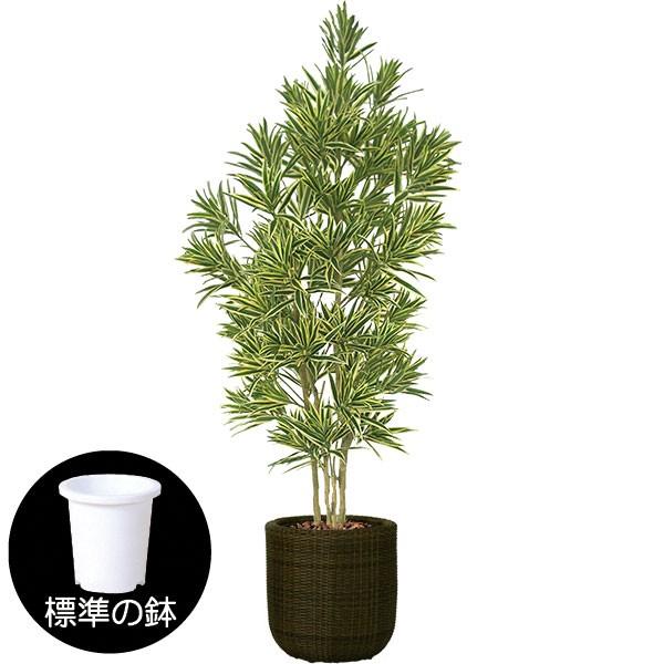 ドラセナ 人工観葉植物 全高1 5m ソング オブ インディア 斑入り レフレクサ 人工樹木 造花 インテリアグリーン フェイク Bst0008 150 人工観葉植物と造花の通販ケイシン 通販 Yahoo ショッピング