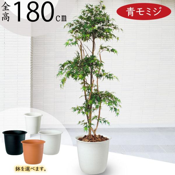 青もみじ 人工観葉植物 全高1 8m 配送制限あり カエデ モミジ 山紅葉 人工樹木 造花 フェイクグリーン インテリアグリーン Bst0025 180 人工観葉植物と造花の通販ケイシン 通販 Yahoo ショッピング
