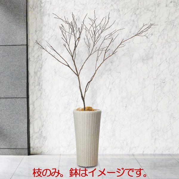 国産 ドライ素材 ツバキ 大枝 全長2 0m 特大 変木 ヘンぼく 枝物 枝もの 枝 ブランチ 人工観葉植物 造花 花材 アレンジ Bst0045 人工観葉植物と造花の通販ケイシン 通販 Yahoo ショッピング
