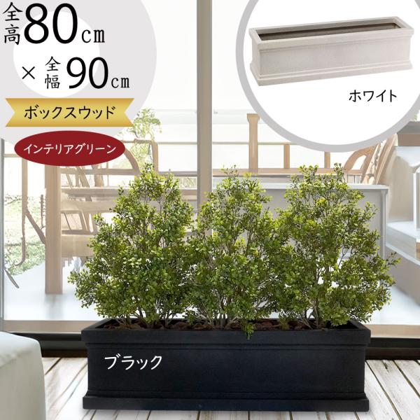 keishin_bst0049-box