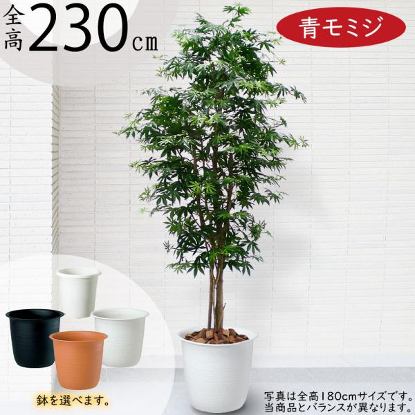 もみじ モミジ 大型 青紅葉 おしゃれ インテリアグリーン フェイク