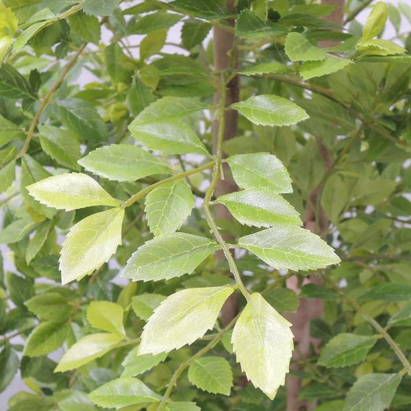 トネリコ 人工観葉植物 全高1 2m ライトグリーン シマトネリコ ゴールデンリーフ 人工樹木 造花 フェイクグリーン Buyee Buyee 日本の通販商品 オークションの代理入札 代理購入
