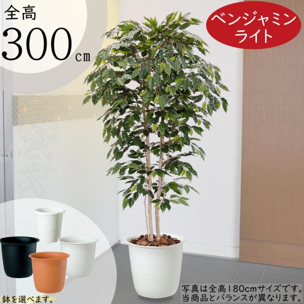ベンジャミン 人気 おしゃれ フェイクグリーン 大型 観葉植物