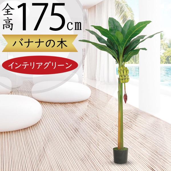 好評 バナナの木 実付き 全高1 75m 人工観葉植物 配送制限あり 人工樹木 造花 フェイクフード フェイクグリーン インテリアグリーン Buyee Buyee 日本の通販商品 オークションの代理入札 代理購入