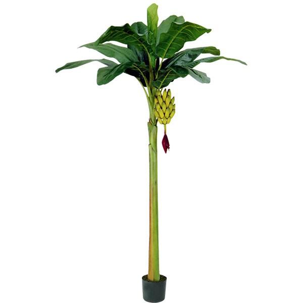 バナナの木 実付き 大型 全高2 45m 人工観葉植物 人工樹木 造花 フェイクフード インテリアグリーン フェイクグリーン Bt 04 Ll Hon 人工観葉植物と造花の通販ケイシン 通販 Yahoo ショッピング