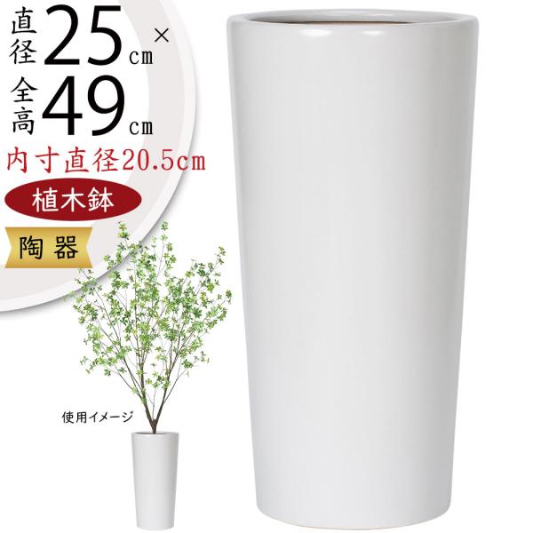 盆栽鉢　植木鉢　大鉢　大型　落款あり keishin_ce04s-wt