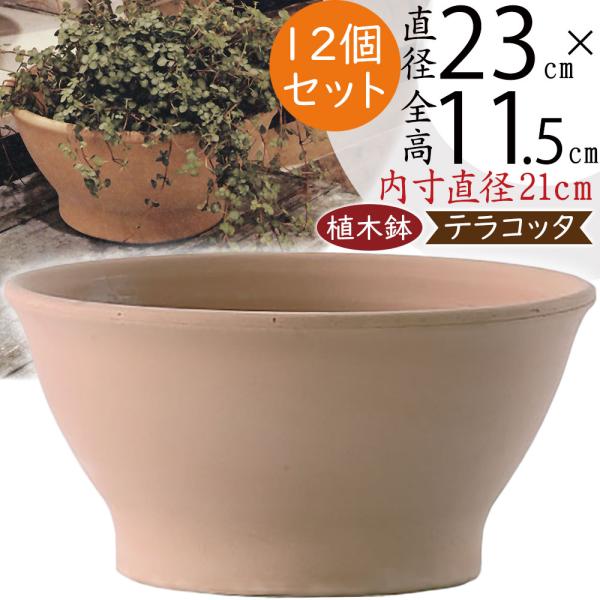 植木鉢 テラコッタ おしゃれ プランター おすすめ 陶器 素焼き 園芸