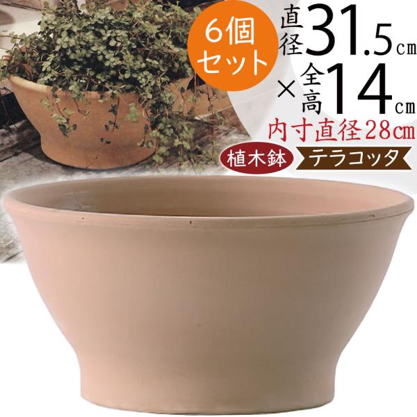 大型 ドイツ製 テラコッタ 鉢 送料込み ２個 ガーデニング 家庭菜園 多肉植物 ドイツ製テラコッタ