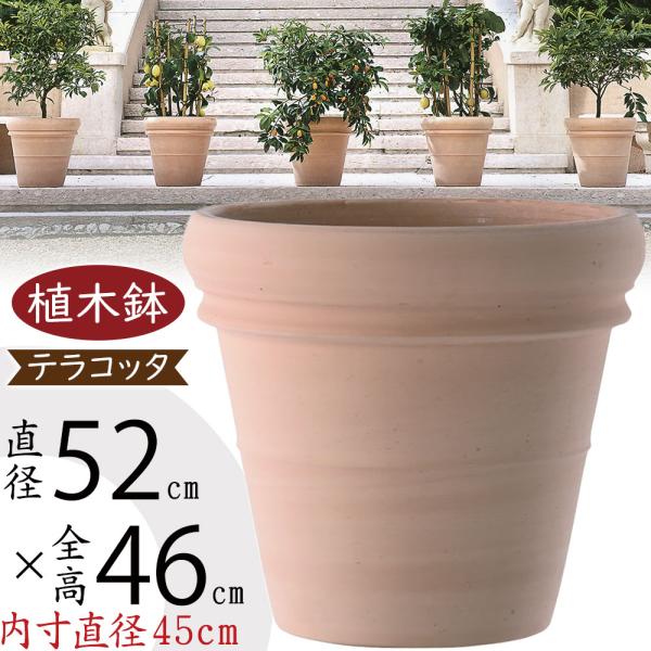テラコッタ 植木鉢　大型 楽天市場】テラコッタ 植木鉢 大型 おしゃれ 人気 プランター