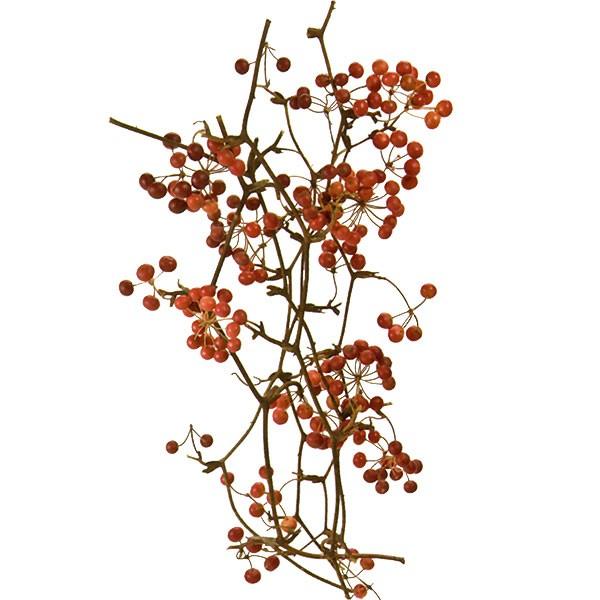 ドライフラワー サンキライのツル 実付き 全長40cm 1束6本セット 天然素材 自然素材 実もの 果実 木の実 花材 アレンジ Do 000 人工観葉植物と造花の通販ケイシン 通販 Yahoo ショッピング