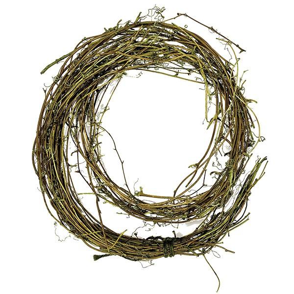 プリザーブドグリーン サンキライヒゲ付バイン 2巻セット 1巻約100 110g 2巻 天然素材 自然素材 プリザーブドフラワー アレンジメント Do2700 701 人工観葉植物と造花の通販ケイシン 通販 Yahoo ショッピング