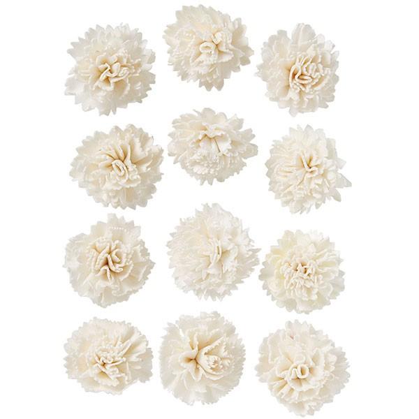 ドライフラワー ソーラーファイン カーネーション 小 白 全長4cm 2袋セット 1袋12輪 2袋 天然素材 自然素材 花材 サラシ 晒 アレンジ Do 010 人工観葉植物と造花の通販ケイシン 通販 Yahoo ショッピング