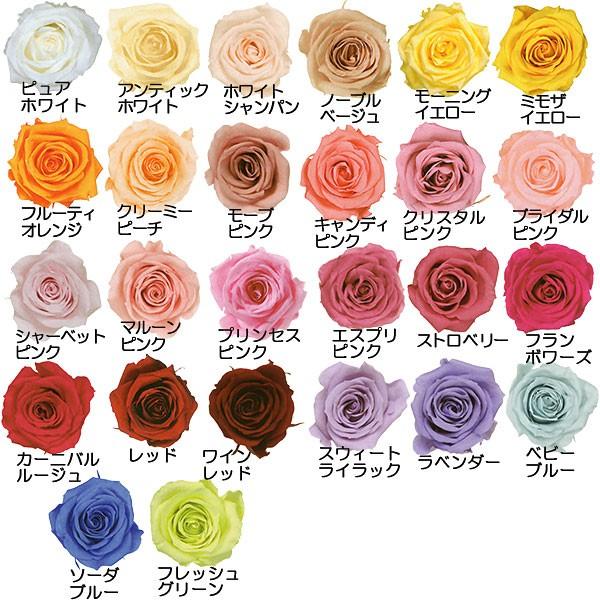 プリザーブドフラワー ローズいずみ 9個セット 全長3〜3.5cm 天然素材 自然素材 薔薇 バラ フラワーアレンジメント :do3480:人工観葉植物と造花の通販ケイシン - 通販 - Yahoo!ショッピング プリザーブドフラワー ローズいずみ 9個セット 全長3〜3.5cm 天然素材 自然素材 薔薇 バラ フラワーアレンジメント :do3480:人工観葉植物と造花の通販ケイシン - 通販 - Yahoo!ショッピング