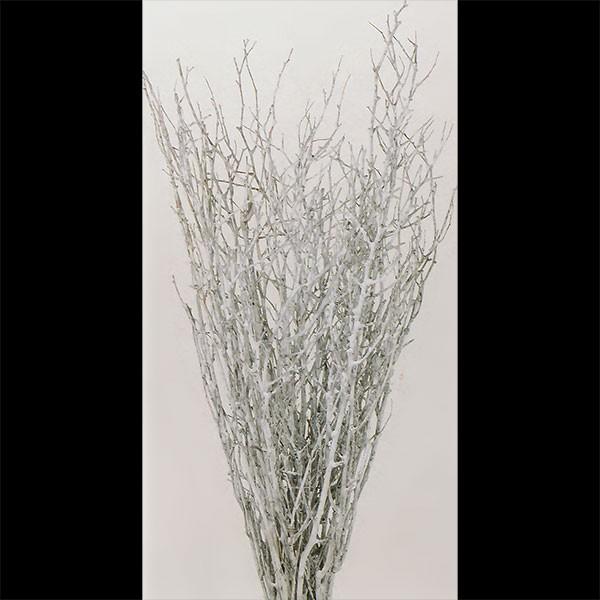 ドライフラワー 小枝バンドル ウォッシュホワイト 全長30cm 2束セット 天然素材 自然素材 枝物 枝もの 枝 ブランチ 花材 アレンジ Do 012 人工観葉植物と造花の通販ケイシン 通販 Yahoo ショッピング