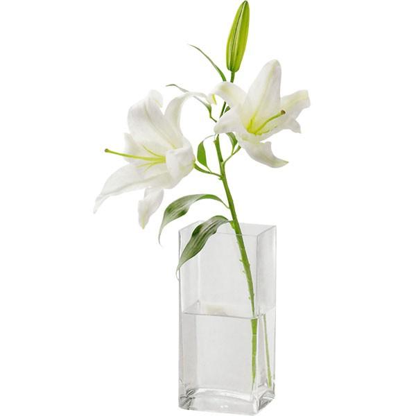ガラス花器 キューブ 四角 全高22cm 全幅10cm 奥行8cm 透明 クリア 硝子 花瓶 花器 花入れ フラワーベース アレンジ 容器 F 2553 人工観葉植物と造花の通販ケイシン 通販 Yahoo ショッピング