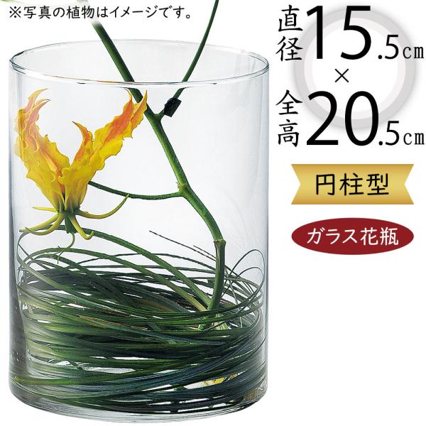 IWATA ガラス花瓶 円筒形 ブラック装飾 zfn-t02-k4w0aa_10.jpg