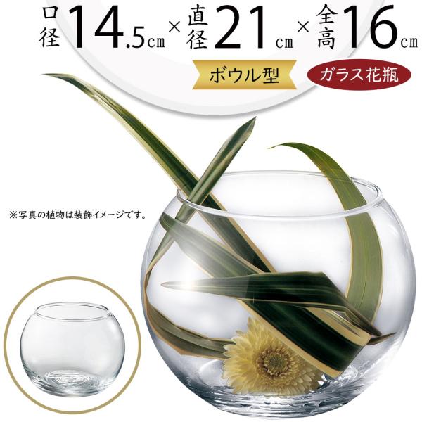 ガラス花器 グラスボール 丸型 全高16cm 口径14 5cm 透明 クリア 硝子 花瓶 花器 花入れ フラワーベース ボール ボウル 丸形 アレンジ Buyee 日本代购平台 产品购物网站大全 Buyee一站式代购 Bot Online