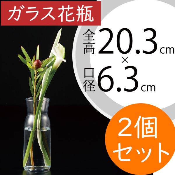 ガラス花瓶 おしゃれ フラワーベース 花器 インテリア モダン 一輪挿し