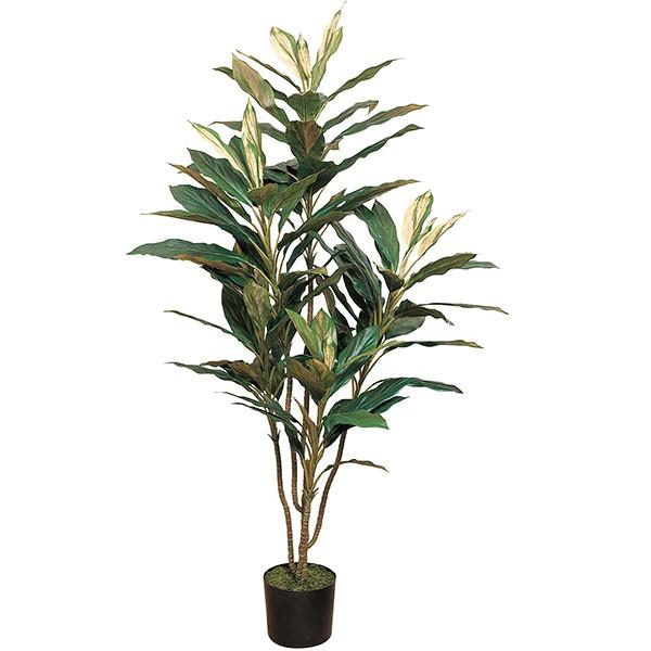 人工観葉植物 全高1 5m コルディリーネ コルディリネ 人工樹木 造花 インテリアグリーン フェイクグリーン K Fg3669 人工 観葉植物と造花の通販ケイシン 通販 Yahoo ショッピング