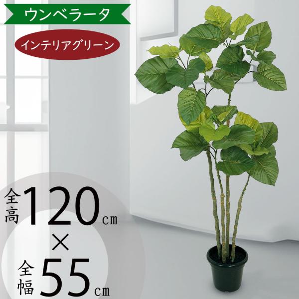 観葉植物 ウンベラータ インテリア植物 楽天市場】ウンベラータ フェイクグリーン おしゃれ 観葉植物 リアル