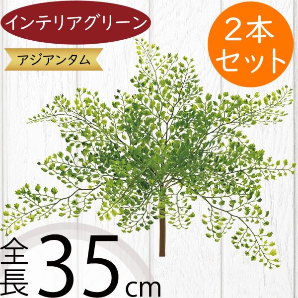 人工観葉植物 アジアンタム ブッシュ 全長35cm 2本セット 造花 リーフ 花材 K 9307 Fg9317 人工観葉植物と造花の通販ケイシン 通販 Yahoo ショッピング