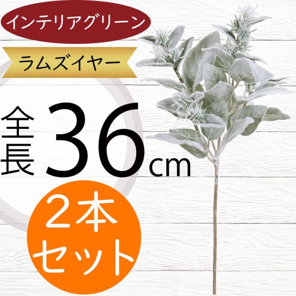 人工観葉植物 ラムズイヤー ホワイトグリーン 全長36cm 2本セット ワタチョロギ 造花 花材 リーフ Fg 人工観葉植物と造花の通販ケイシン 通販 Yahoo ショッピング