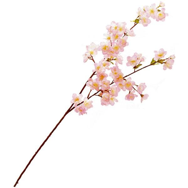   TN   lC A A[eBtBVt[ lHϗt ԍ CeAO[ t[AWg Ԍ t 82cm 4{Zbg