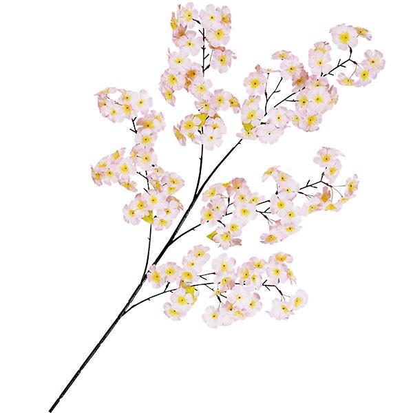   TN   ^ lC A A[eBtBVt[ lHϗtA ԍ CeAO[ t[AWg 105cm 3{Zbg