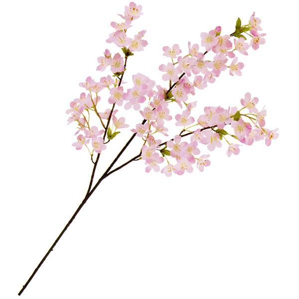   TN   lC A A[eBtBVt[ lHϗt ԍ CeAO[ t[AWg Ԍ t 80cm 4{Zbg