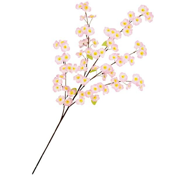   TN   ^ lC A A[eBtBVt[ lHϗtA ԍ CeAO[ t[AWg 98cm 3{Zbg