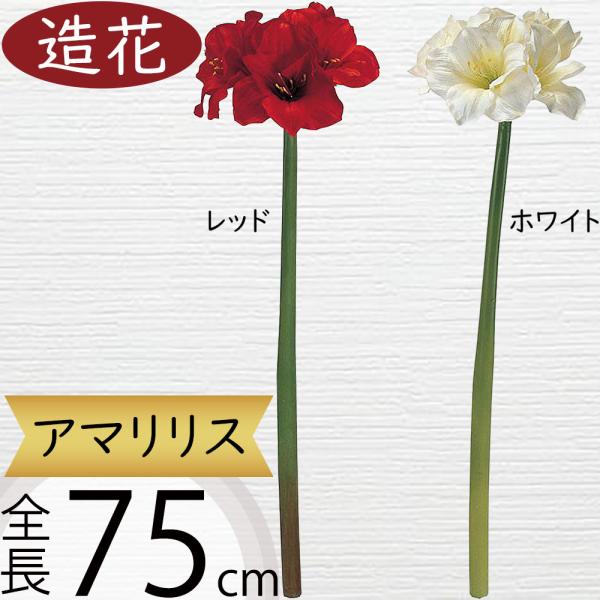 keishin_fm100175