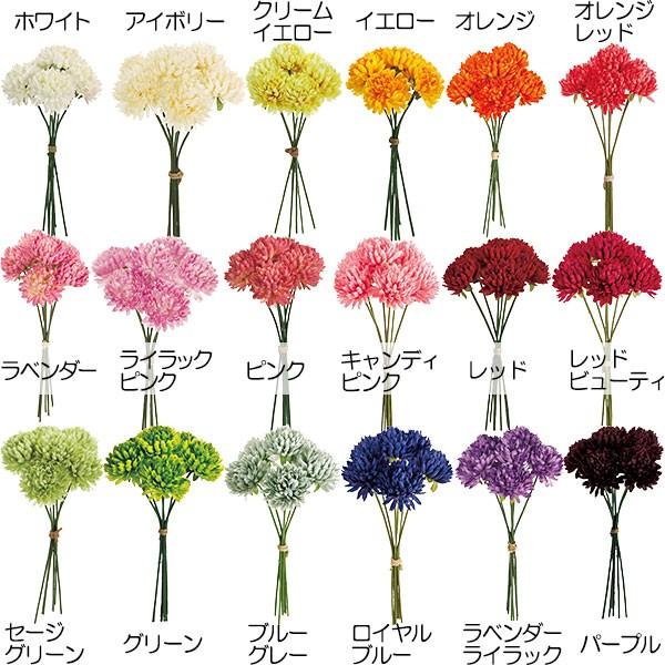 e }   LN 21cm 18{Zbg k501