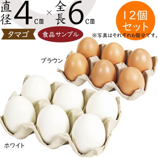 食品サンプル たまご リアル フェイクフード 玉子 卵 タマゴ