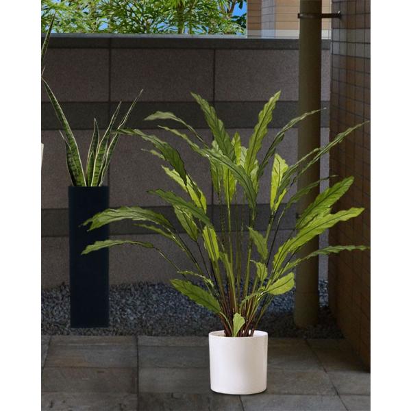 鉢カバー 信楽焼 陶器製 円柱型 4号用 全高19cm 直径17cm プランター 鉢 植木鉢 筒型 シリンダー 観葉植物用 底穴なし 国産品 日本製 Buyee Buyee 日本の通販商品 オークションの代理入札 代理購入