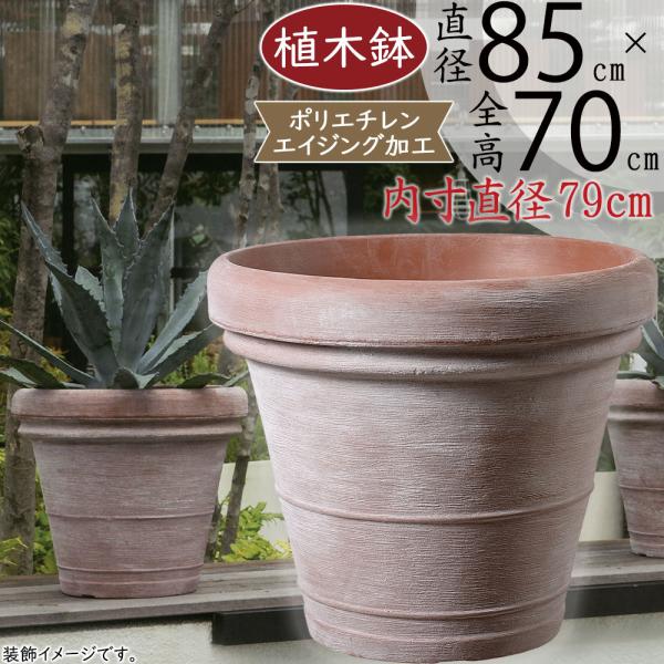 店頭　デイスプレイ用品　装飾器材　木製大型鉢 楽天市場】木製 ディスプレイブロック 8×8cm【 アクセサリー