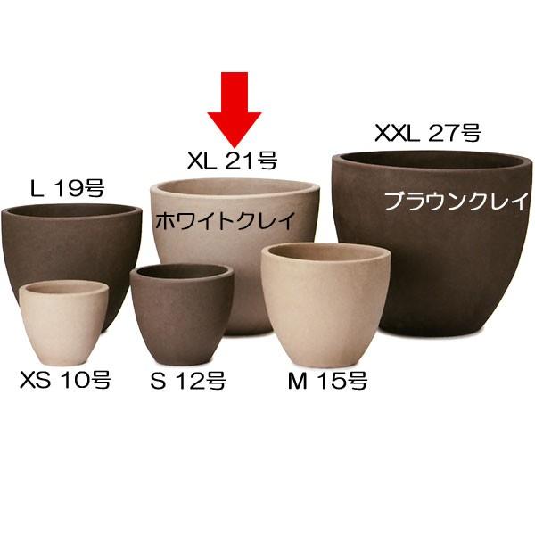 意味のある 血 鑑定 植木鉢 号 C Goodjob Jp