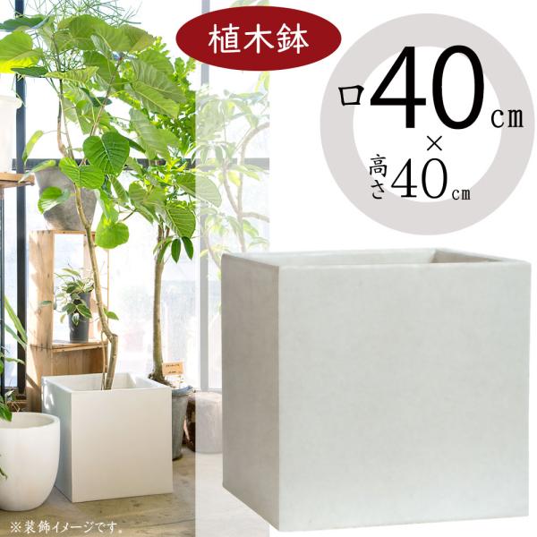 大鉢 植木鉢 おしゃれ 大型 プランター 観葉植物 人気 おすすめ 園芸