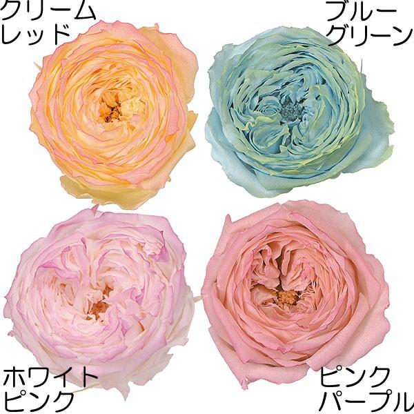 プリザーブドフラワー ローズ てまり はないろ 8輪セット 花径4 5cm 天然素材 自然素材 薔薇 バラ フラワーアレンジメント Kd Do2463 人工観葉植物と造花の通販ケイシン 通販 Yahoo ショッピング