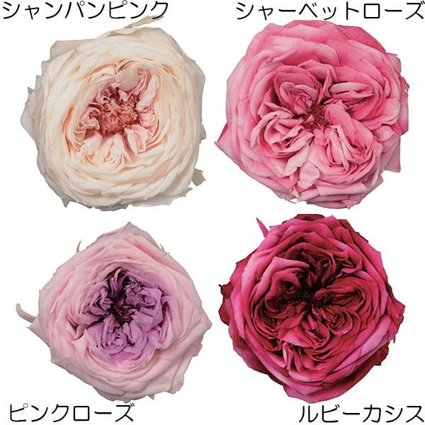プリザーブドフラワー ローズ てまり ブロッサム 6輪セット 花径6 7cm 天然素材 自然素材 薔薇 バラ アレンジメント Kd Do37 人工観葉植物と造花の通販ケイシン 通販 Yahoo ショッピング