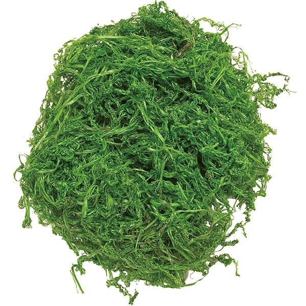 人工観葉植物 モス グリーン 約60g 4枚セット 苔 コケ こけ 造花 人工樹木 リーフ 花材 アレンジメント Kd F19g2982 24 人工観葉植物と造花の通販ケイシン 通販 Yahoo ショッピング