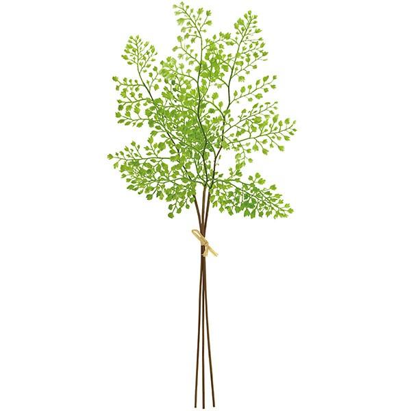 人工観葉植物 アジアンタム 全長52cm 12本セット 1束3本 4束 シダ植物 蓬莱羊歯 造花 リーフ 花材 Kd F19g6134 人工観葉植物と造花の通販ケイシン 通販 Yahoo ショッピング