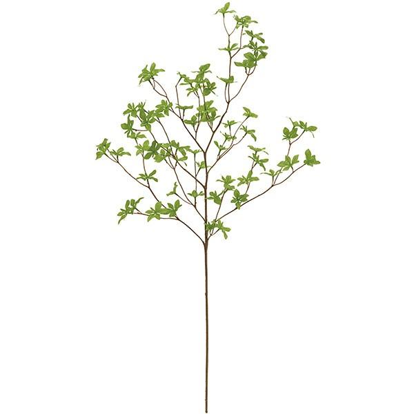 ドウダンツツジ 全長100cm 造花 フェイクグリーン インテリアグリーン 人工観葉植物 Kd F19g72 人工観葉植物と造花の通販ケイシン 通販 Yahoo ショッピング